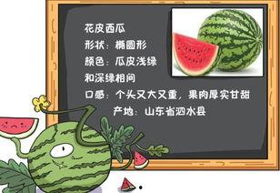 吃瓜事故小说免费阅读,一场吃瓜引发的悬疑大案